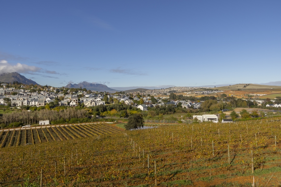 0 Bedroom Property for Sale in Weltevreden Hills Estate Western Cape